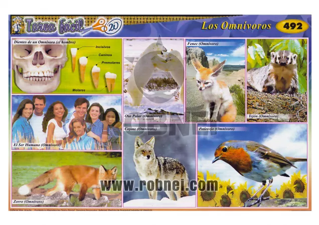 Los Omnivoros